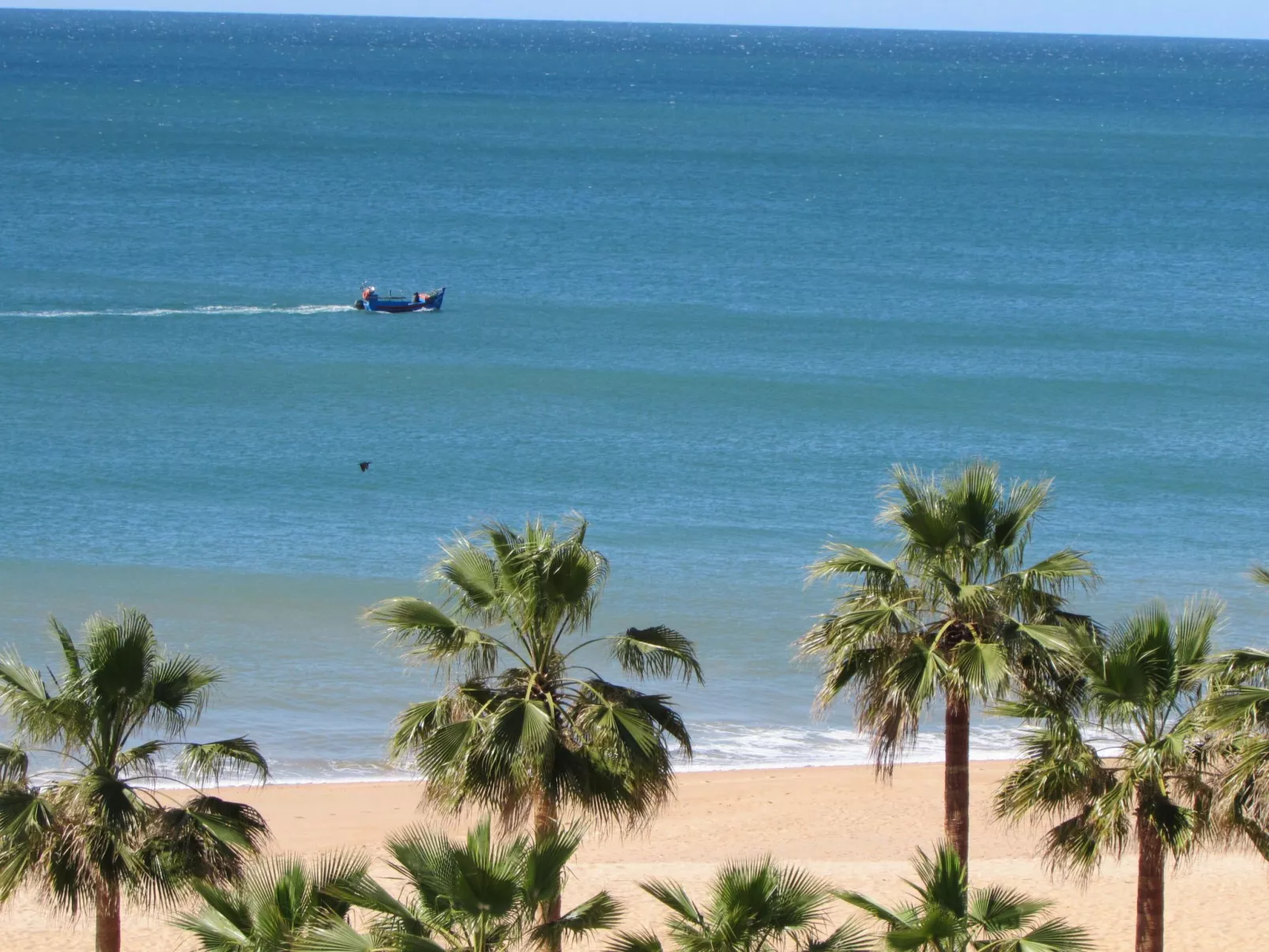 " NASCER-DO-SOL"-Image-tags.info