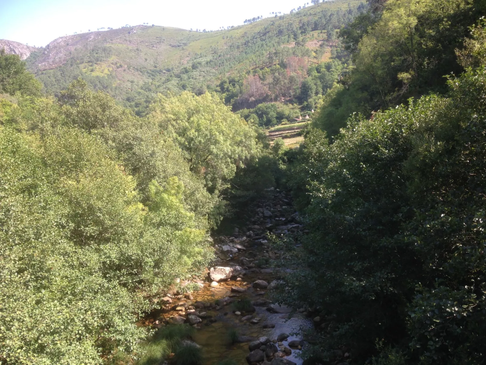 "Großmutters Häuschen" mit überdachter Terrasse-Draußen