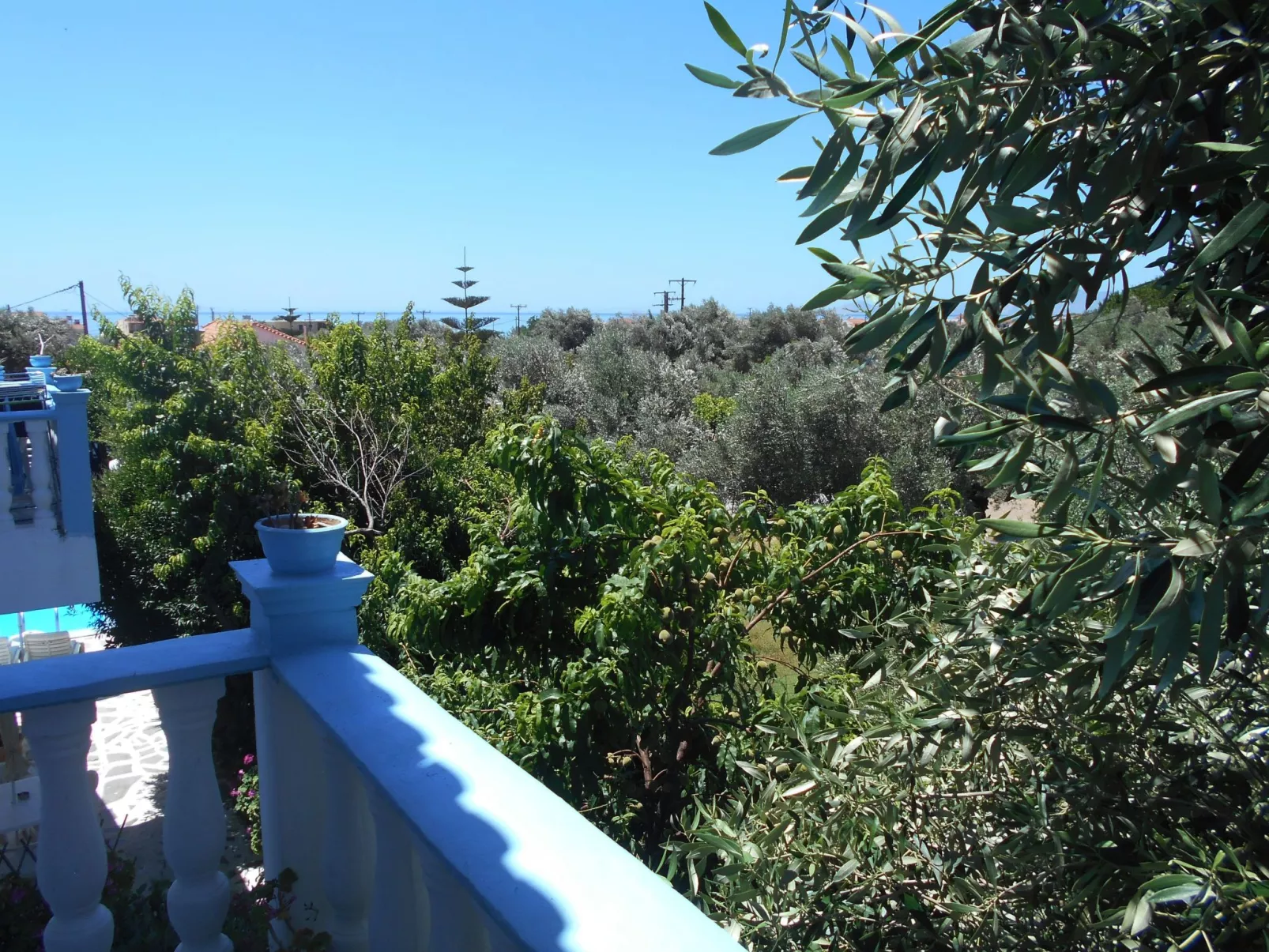 Meltemia-Studie Samos ASPRES-Outside