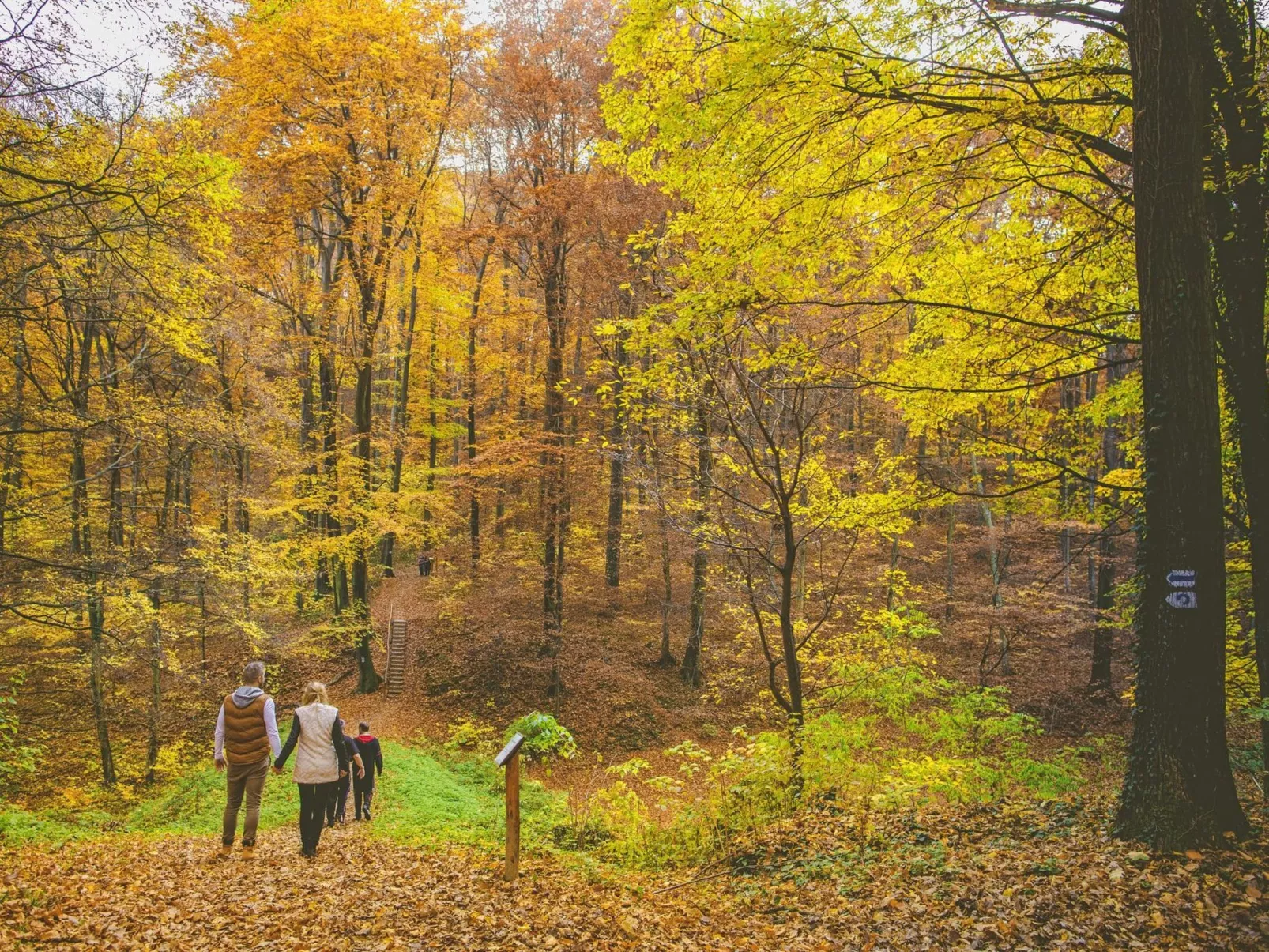 Bequem eingerichtete Wohnung mit großem Garten-Dehors