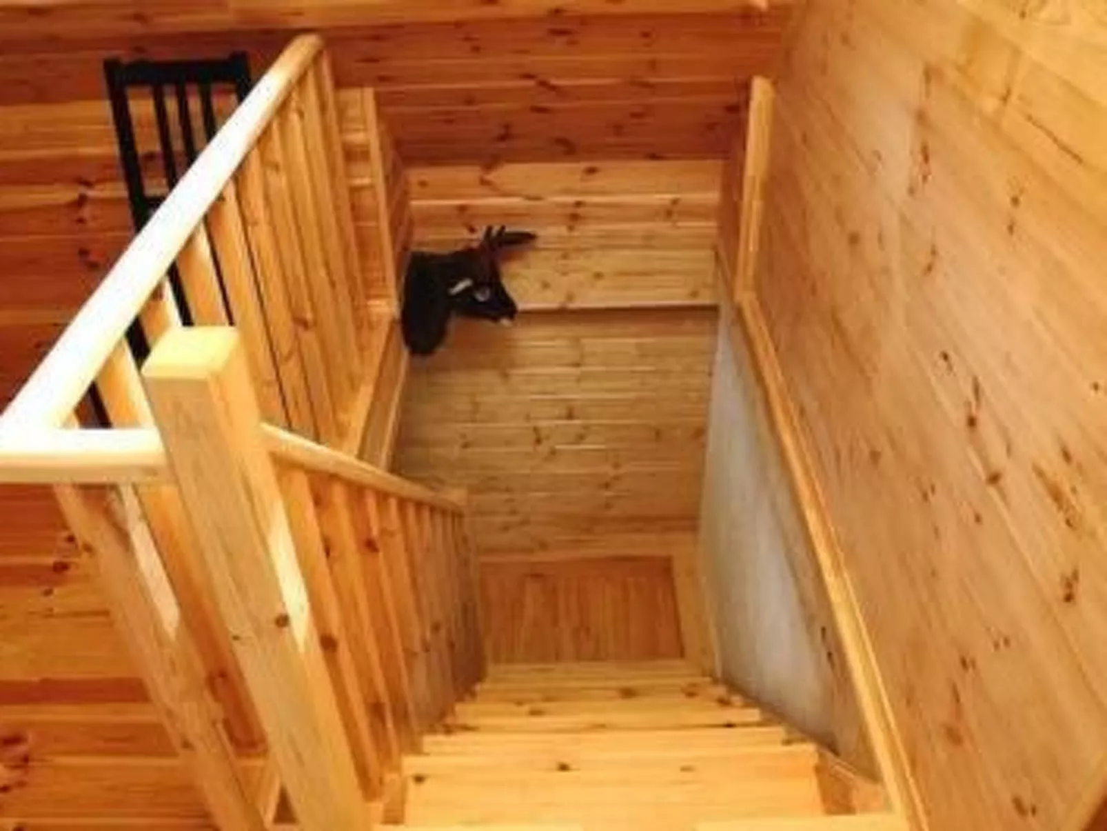 Charmante Waldvilla Dzukijos Uoga am See-Inside