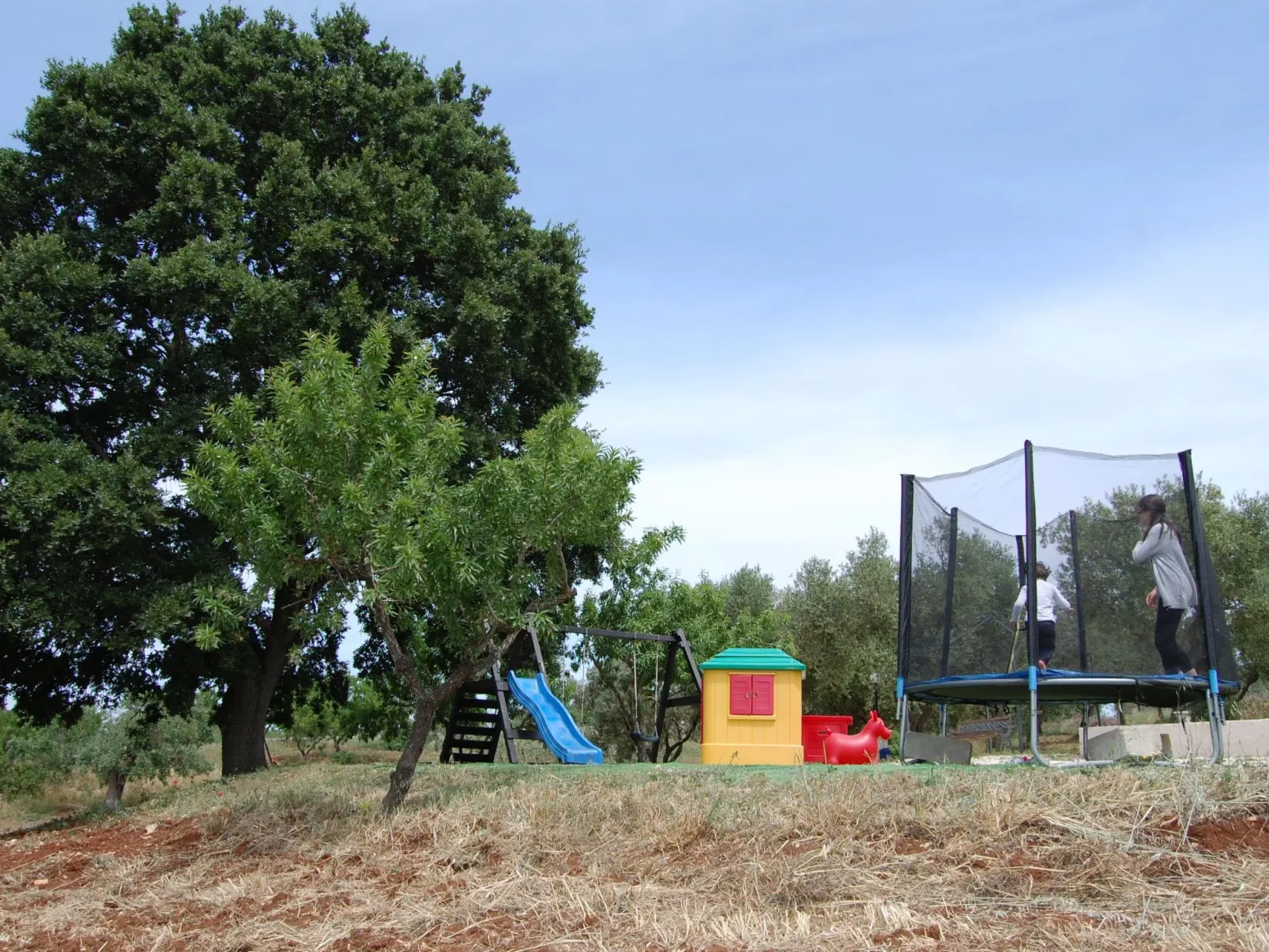 VERDE-Image-tags.info