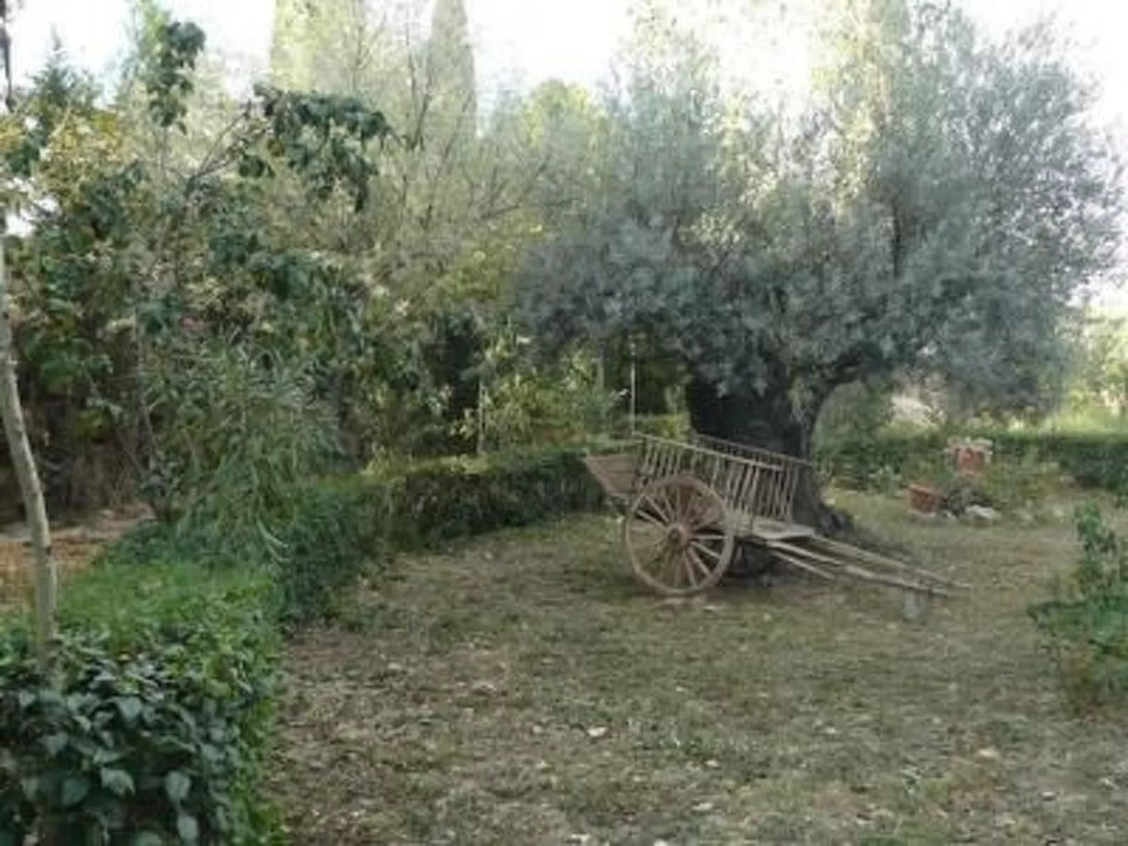 Landhaus Torre de Campos-Image-tags.info