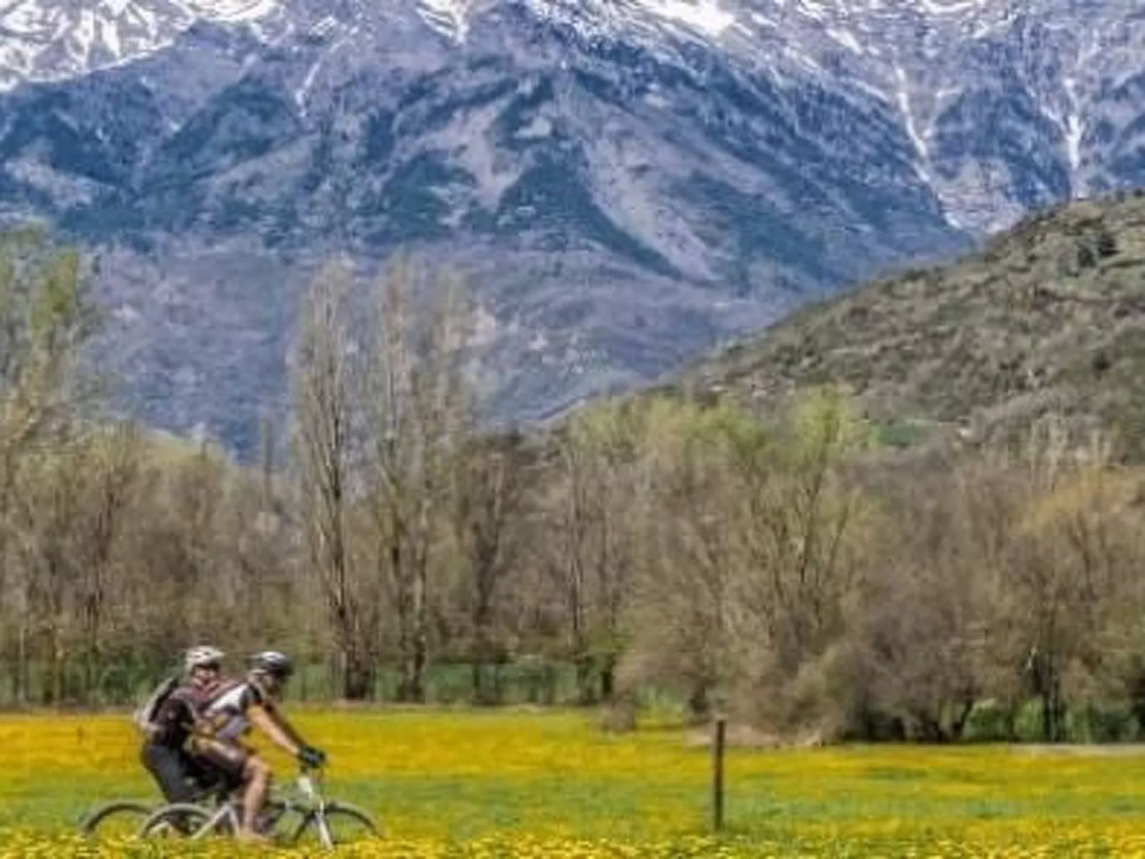 Appartement mit Terrasse-Image-tags.info