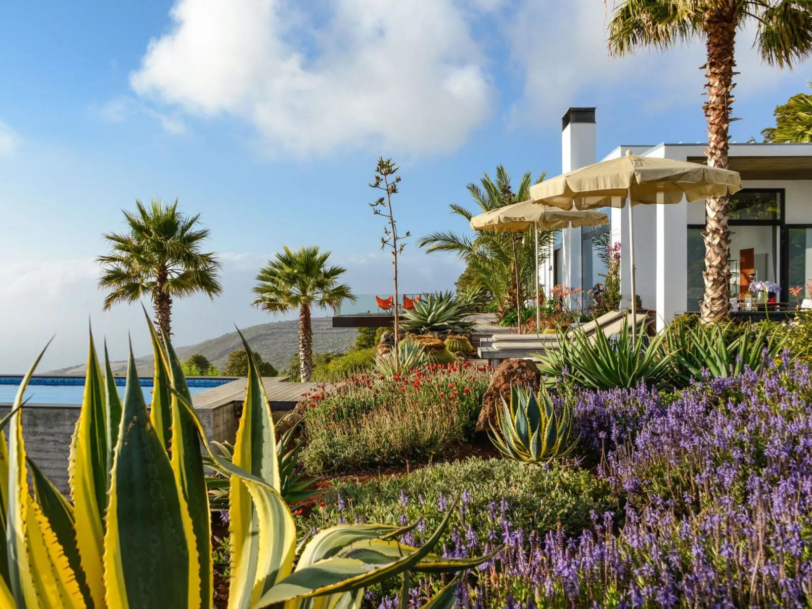 Villa Infinite Place-Outside