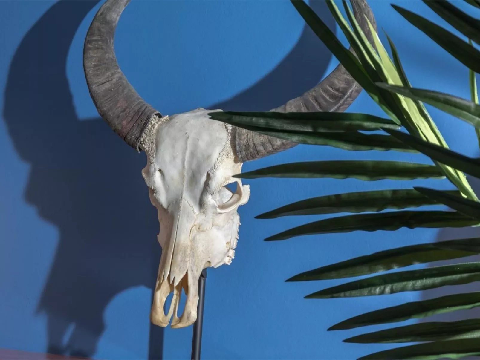 Stilvolle Wohnung in El Charco - Arrecife-Inside