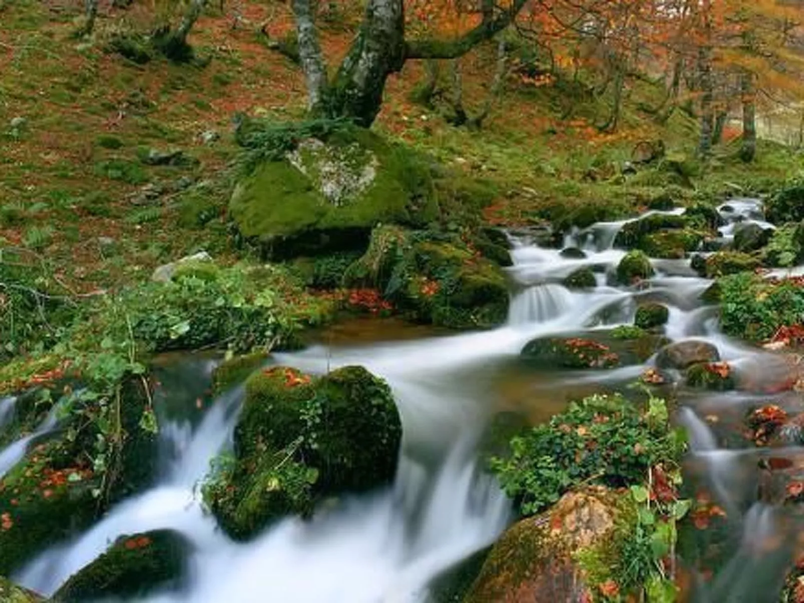 Ländliches Haus La Carrozal Senda del Oso-Image-tags.info