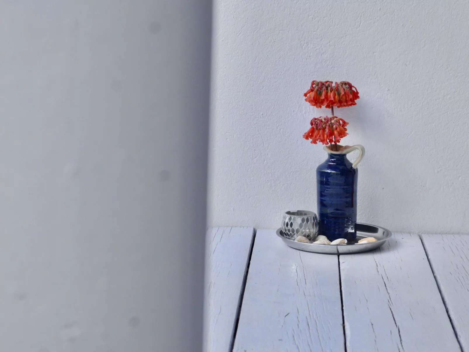 Appartement Casa Hibisco mit schönem Garten-Inside