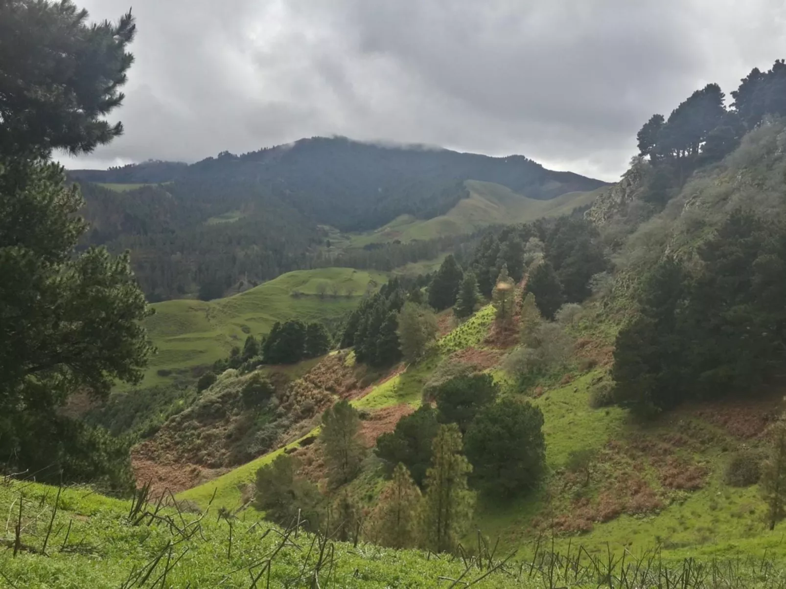 Landhaus "La Cabaña" mit Privatparkplatz-Outside