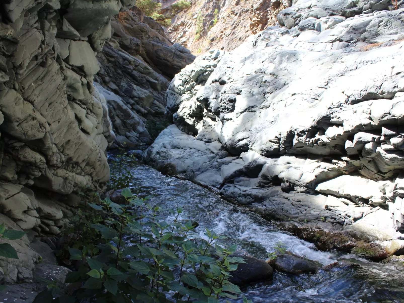 Haus La Majada-Dehors