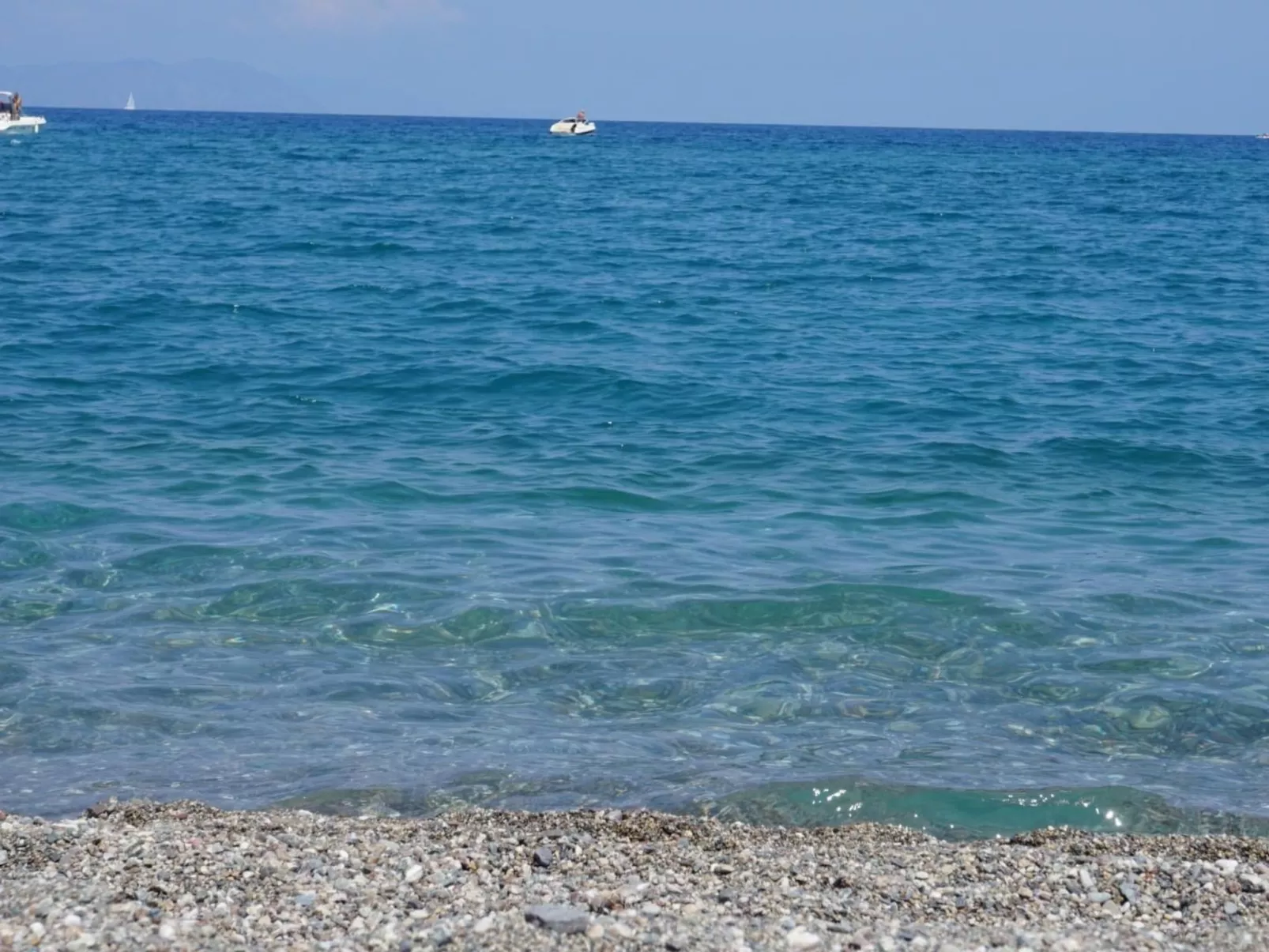 Seestern-Image-tags.info