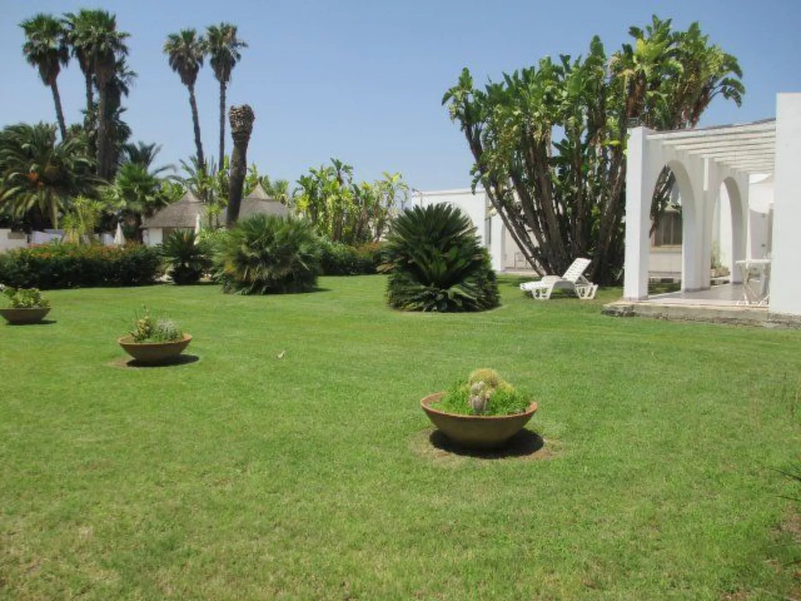 Cuore di Palme Bilo-Outside