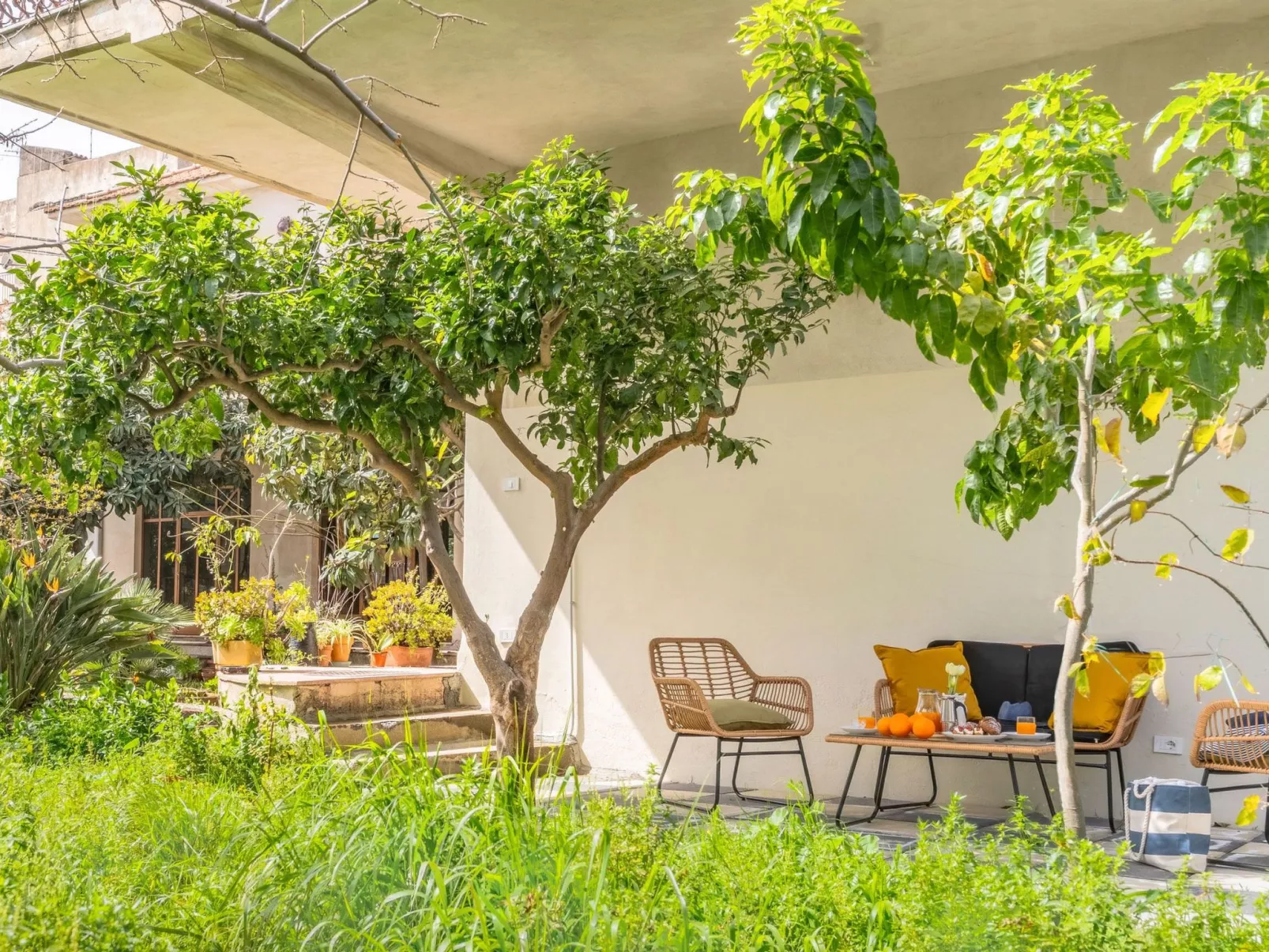 Die Orange und der Goldfisch-Dehors