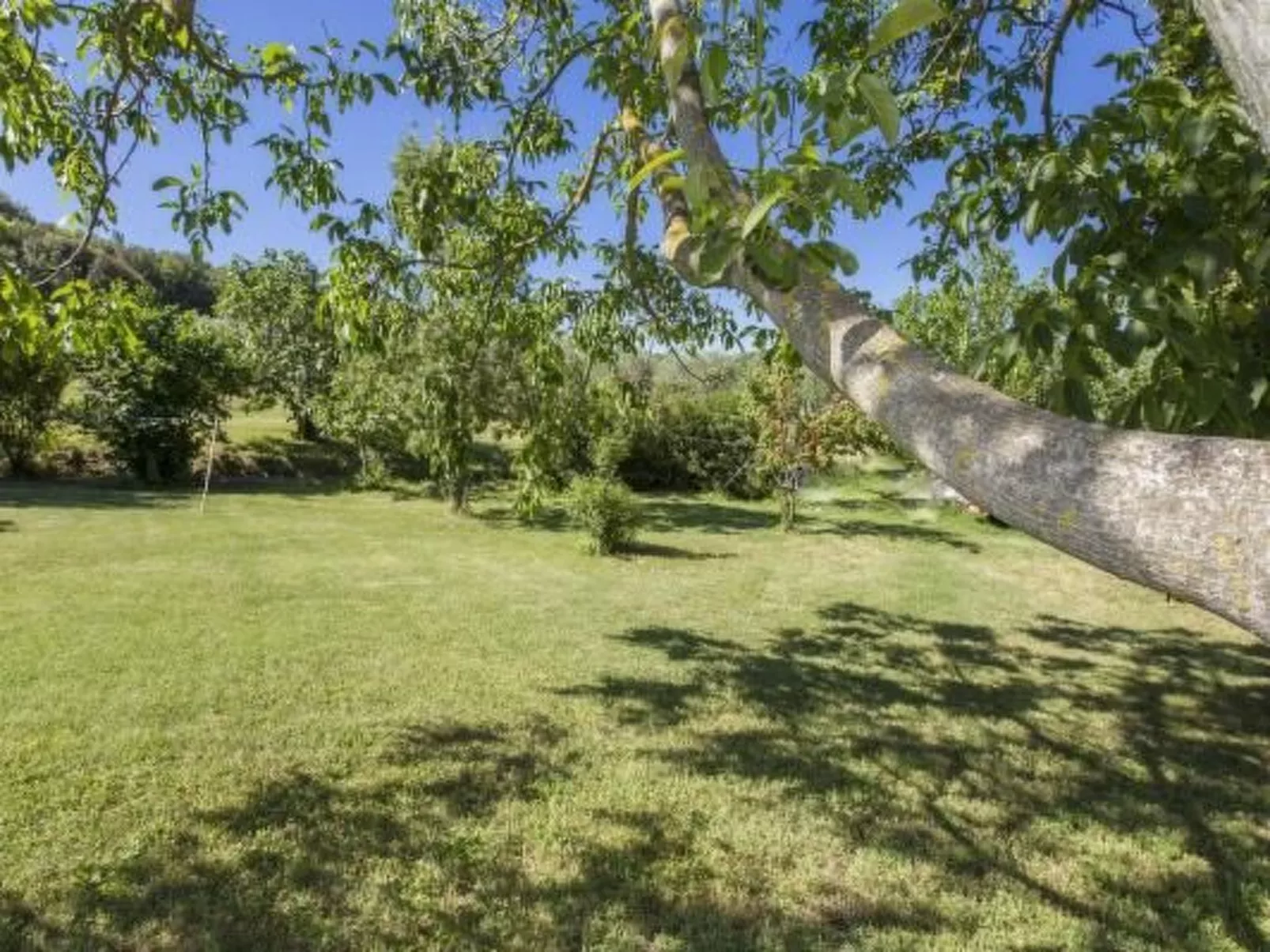 Ihr Zuhause in der Ferne - Draußen