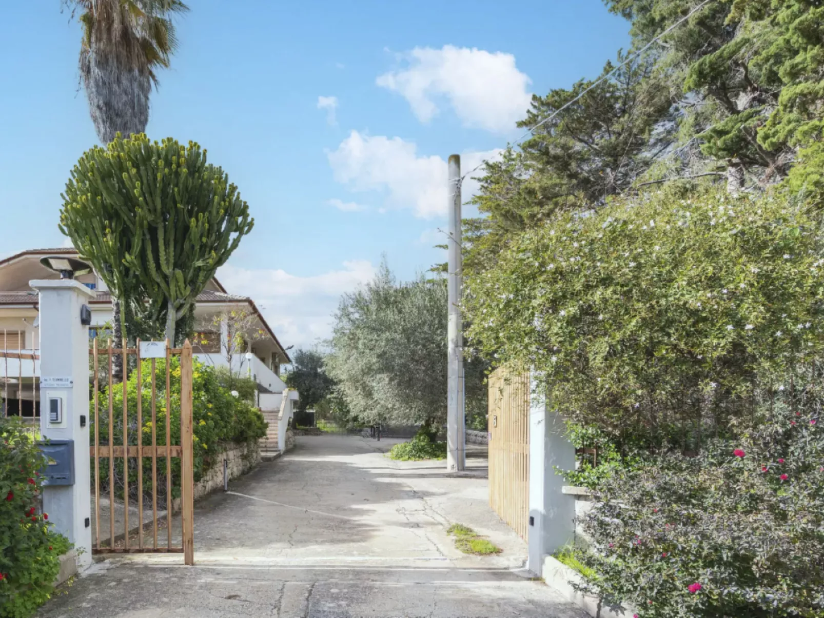 Zacchitella Gardenhouse-Dehors