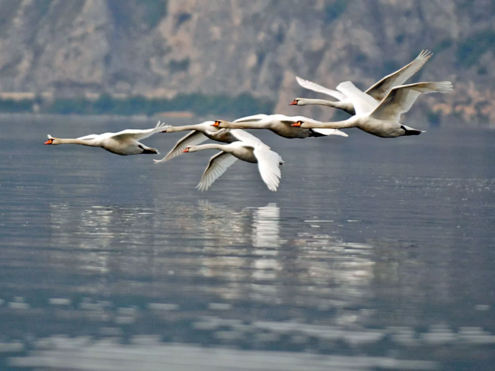 Studio-Apartment mit Balkon mit Seeblick und Zugang zum Garten-Dehors