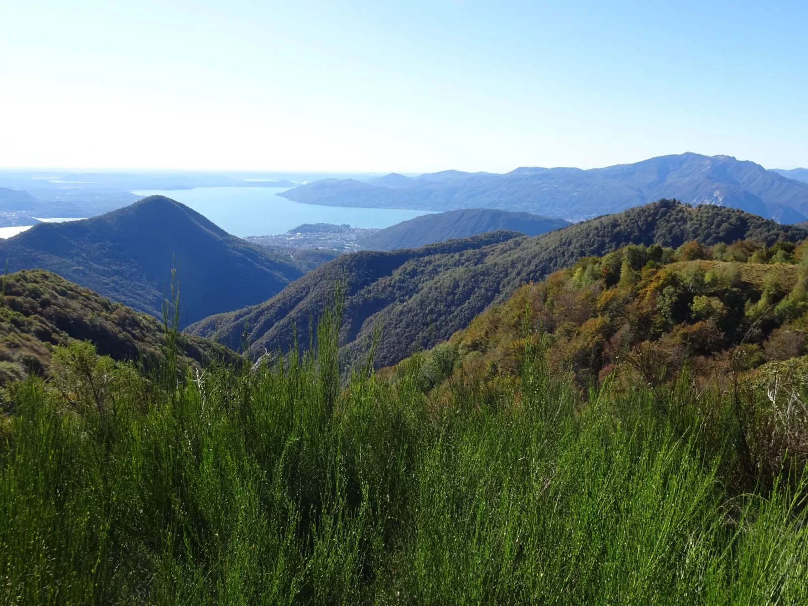 Vecchia Scuderia-Dehors