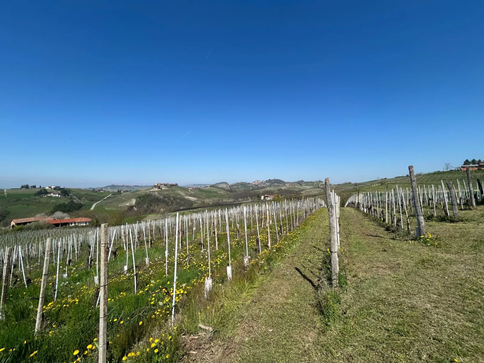 Casa il Cuore delle Langhe bei Holiday World-Draußen