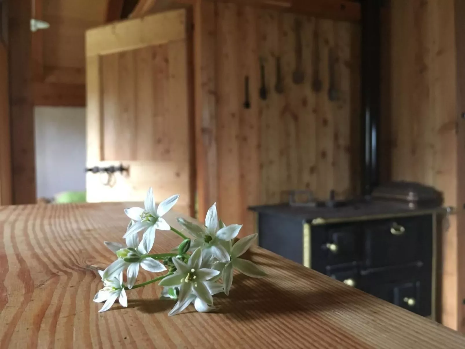 Mit Sauna in Pieve Di Bono-Inside