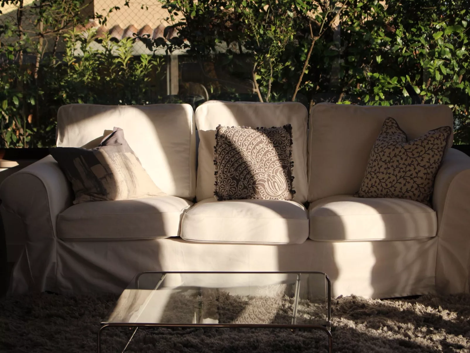 "Daphne Experience".-Inside