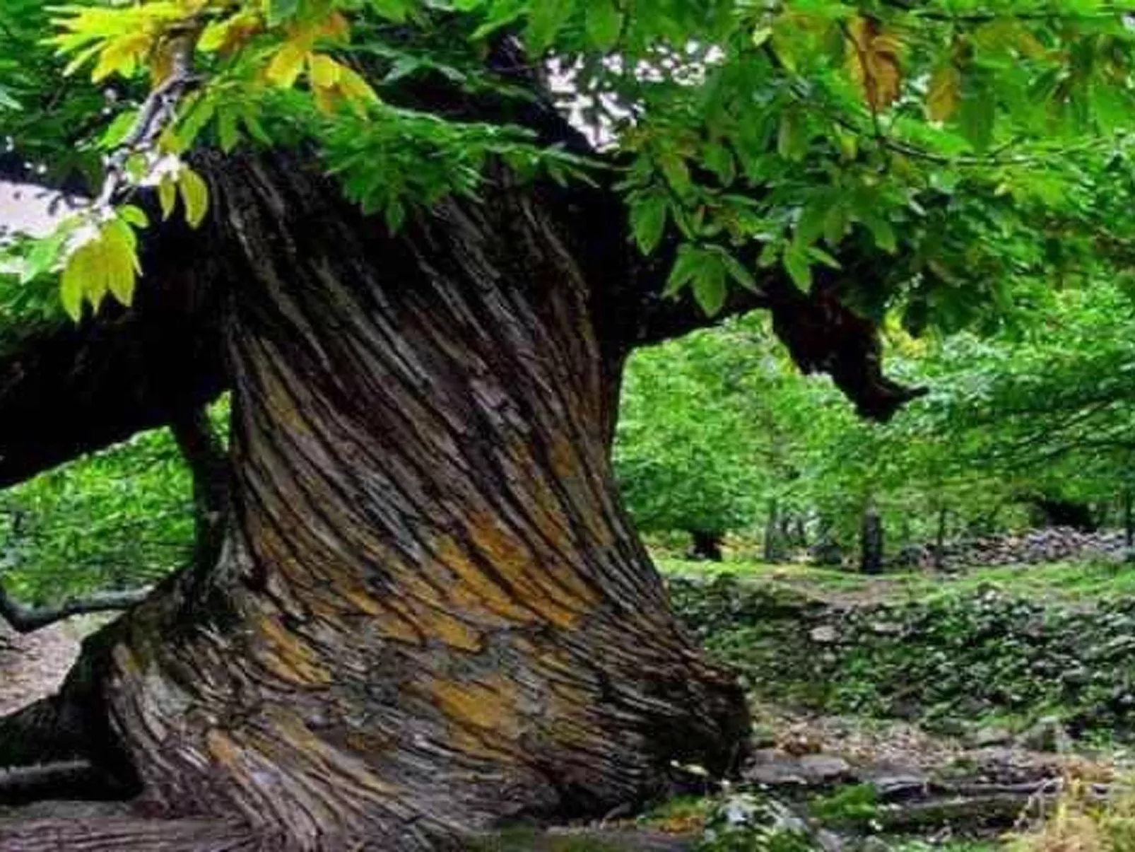 Ideales Refugium in Extremadura Komfort und Natur-Outside