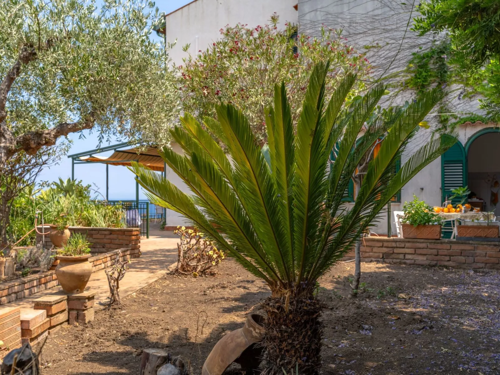 Angelo's Haus-Draußen