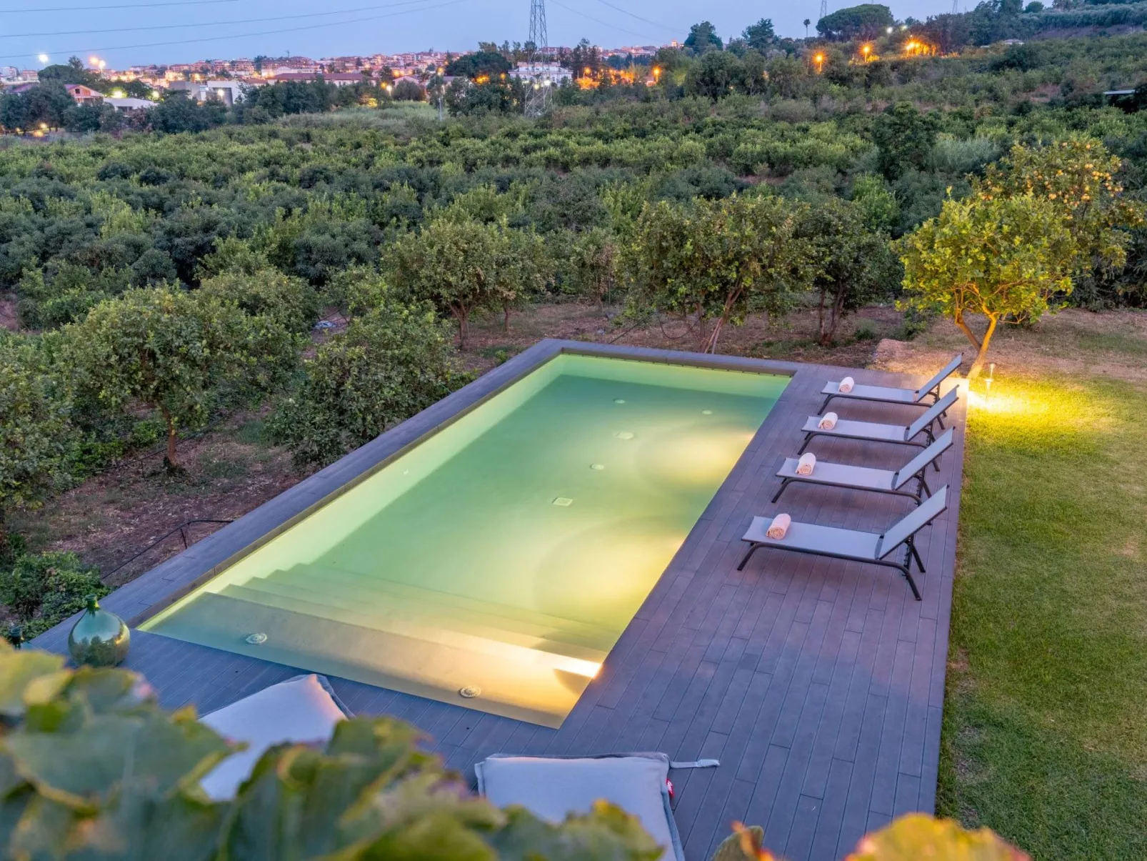 Avocado Garten-Image-tags.info