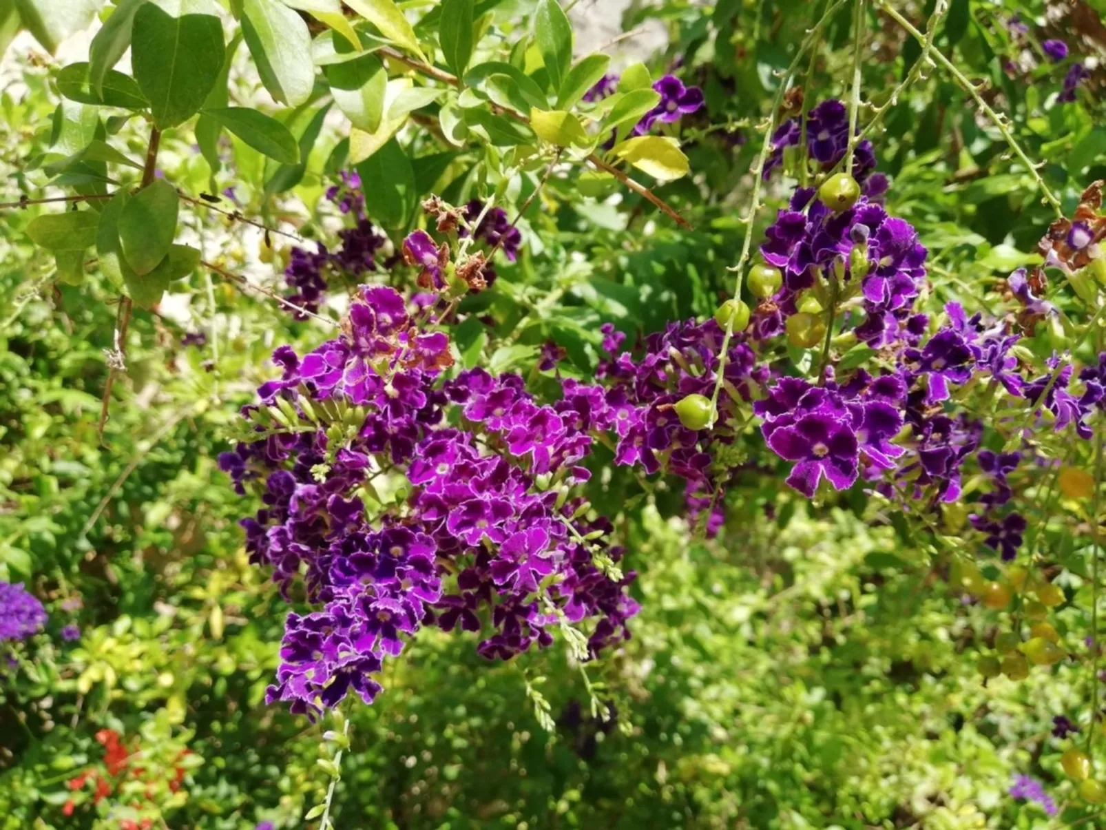 Agora-Wohnungen" in prestigeträchtigem historischen Gebäude-Outside