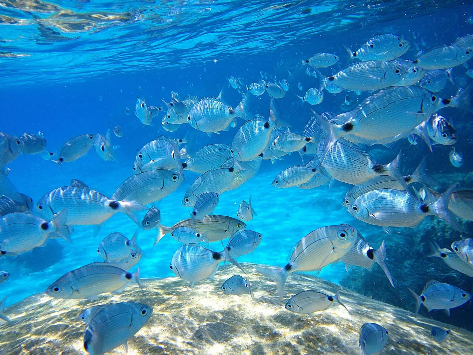 Zwei-Zimmer-Wohnung 1-Image-tags.info