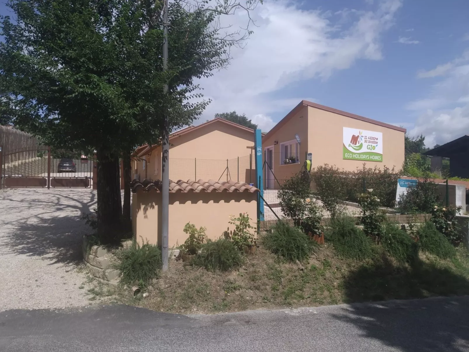 'Vindemia la salmon-Image-tags.info