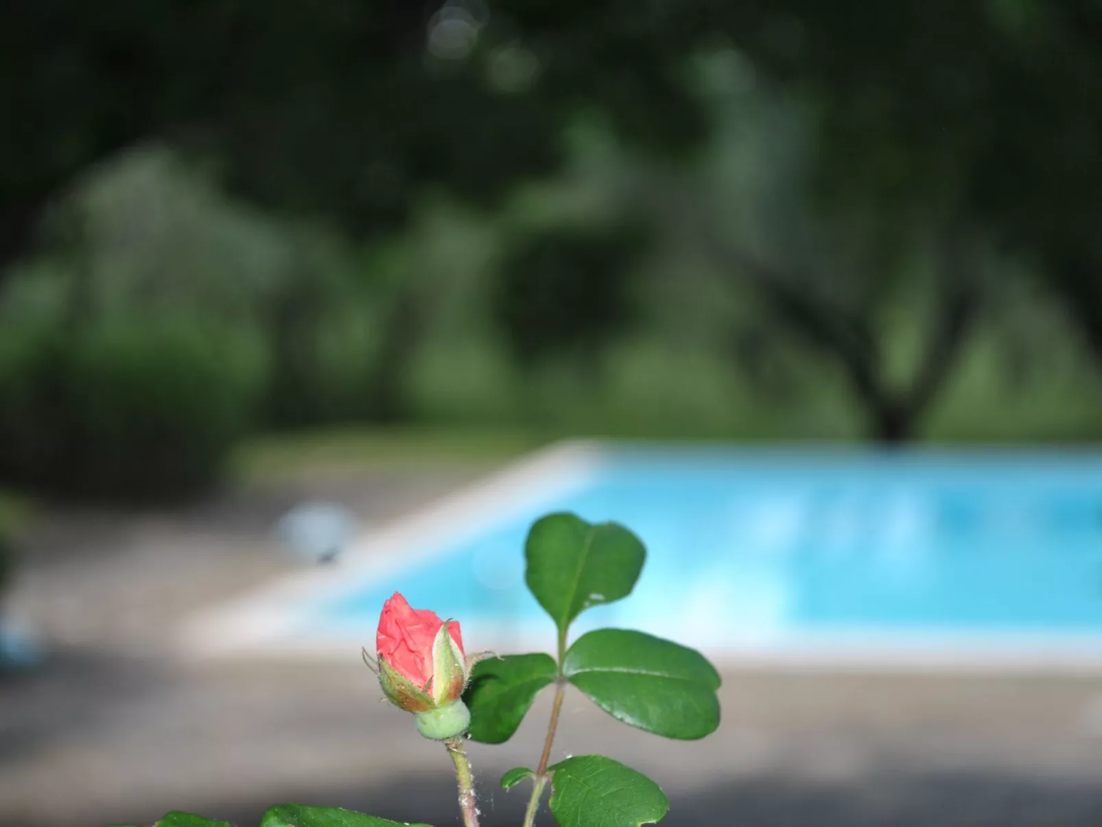 Sage' Anwesen mit Gemeinschaftspool-Draußen