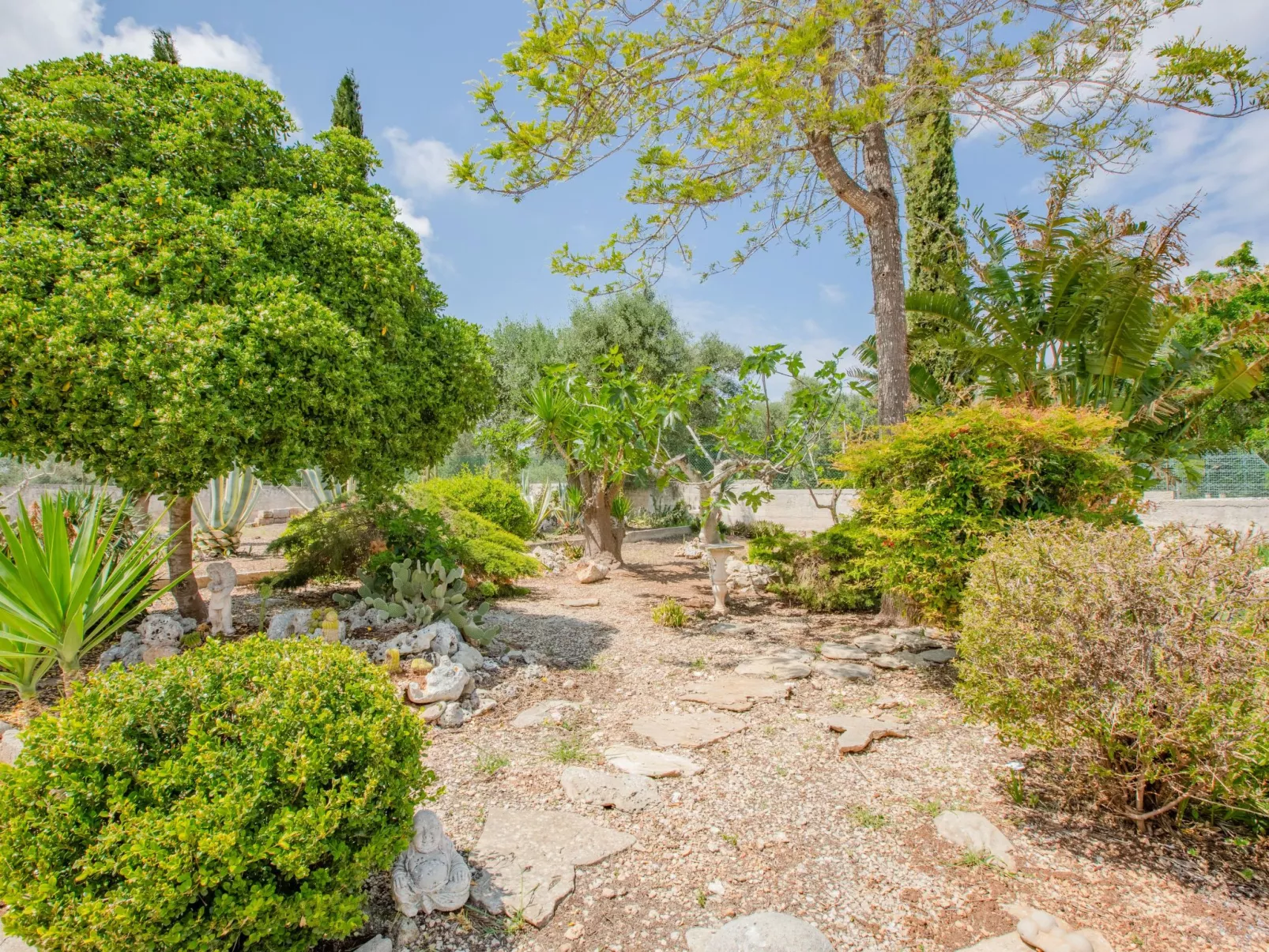 Villa Vera-Image-tags.info