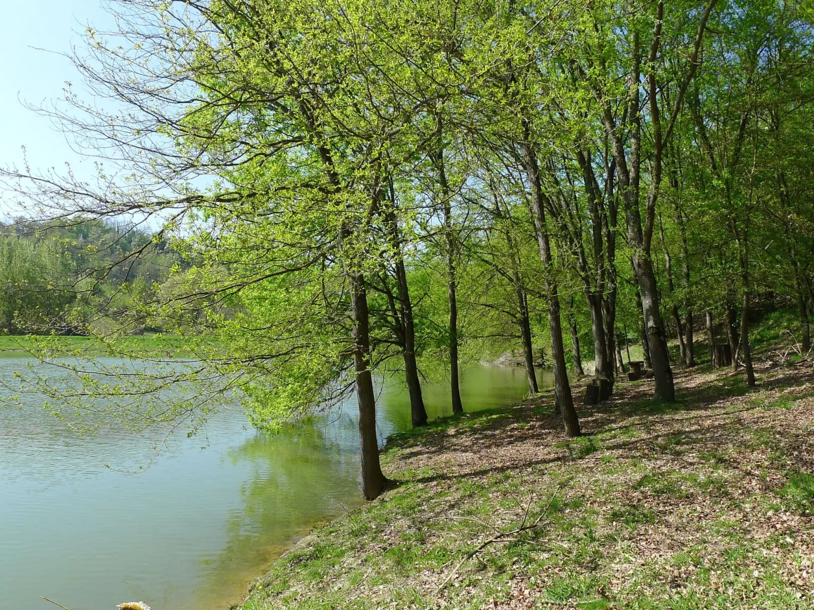 Geräumige Wohnung mit 3 Schlafzimmern und 3 Bädern-Image-tags.info