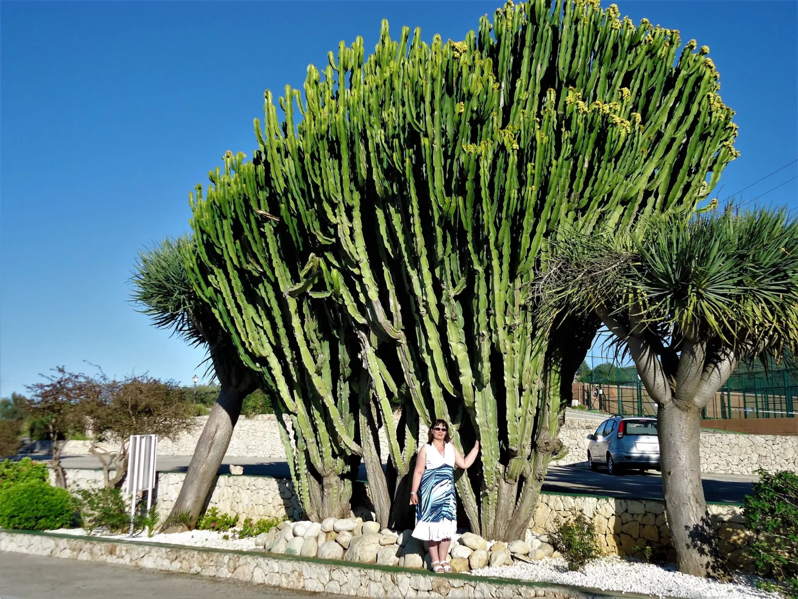 Villa del Mar-Outside