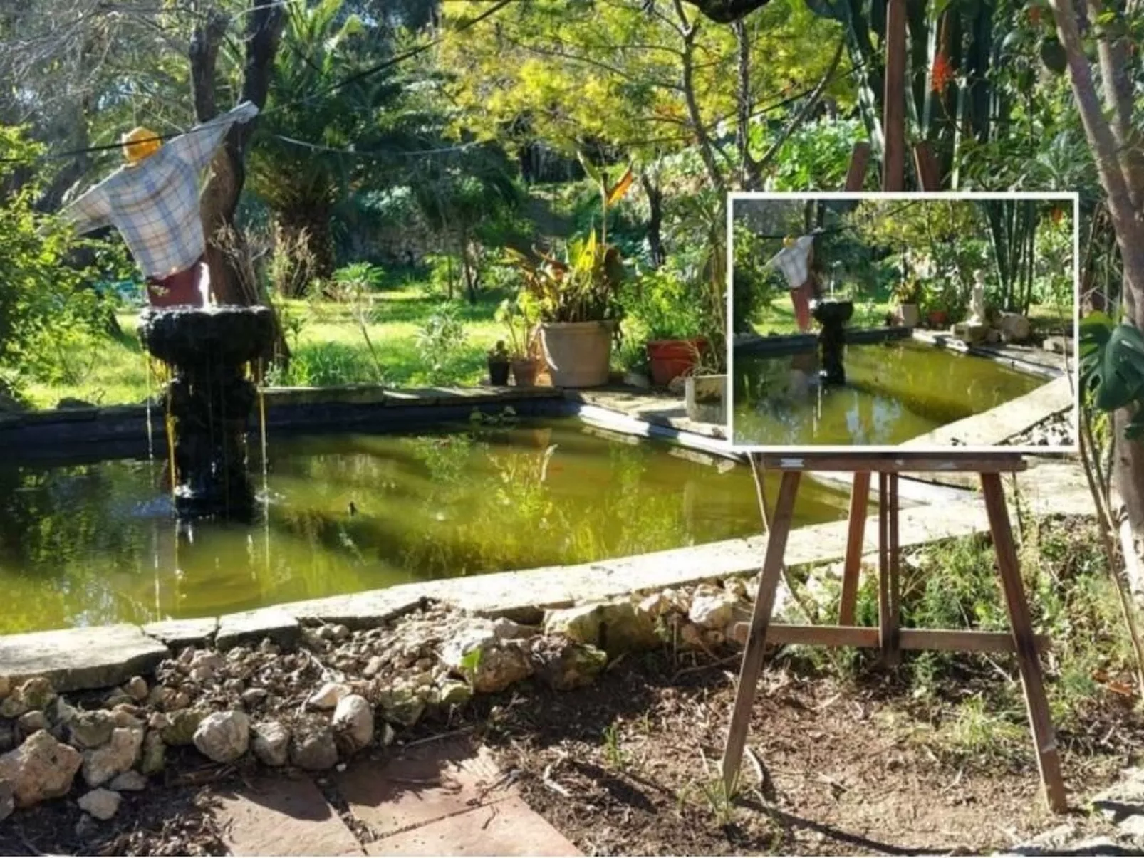 Finca "Mallorca Muro" mit Garten und Grill-Image-tags.info