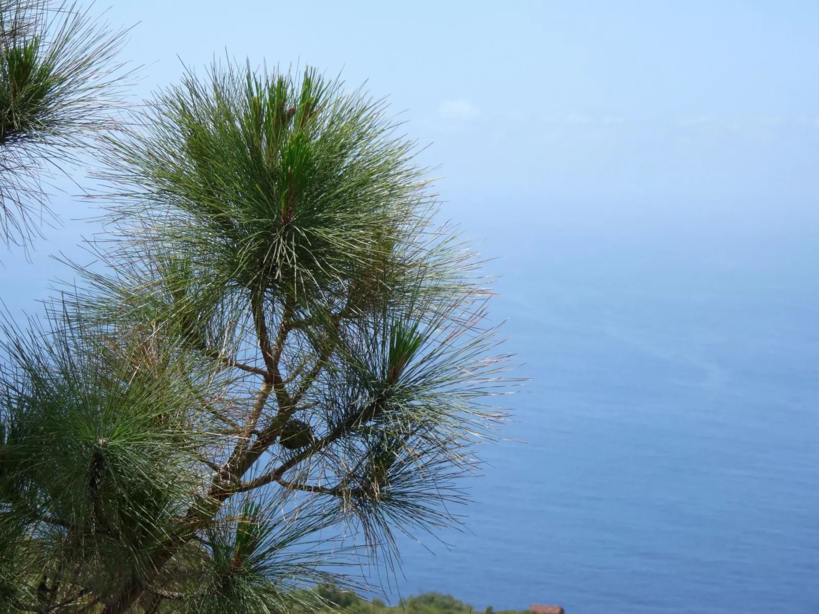 Ruhige Finca Topo del Drago mit Meerblick-Dehors