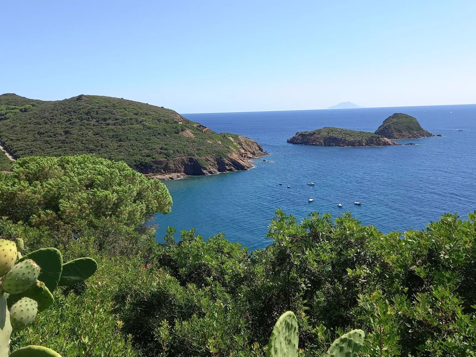 Mit Wasserblick-Draußen