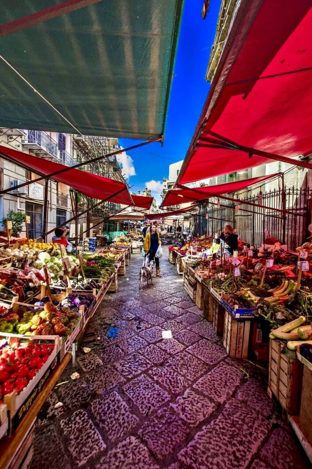 Wohnung "La Terrazza di Massimo-Image-tags.info