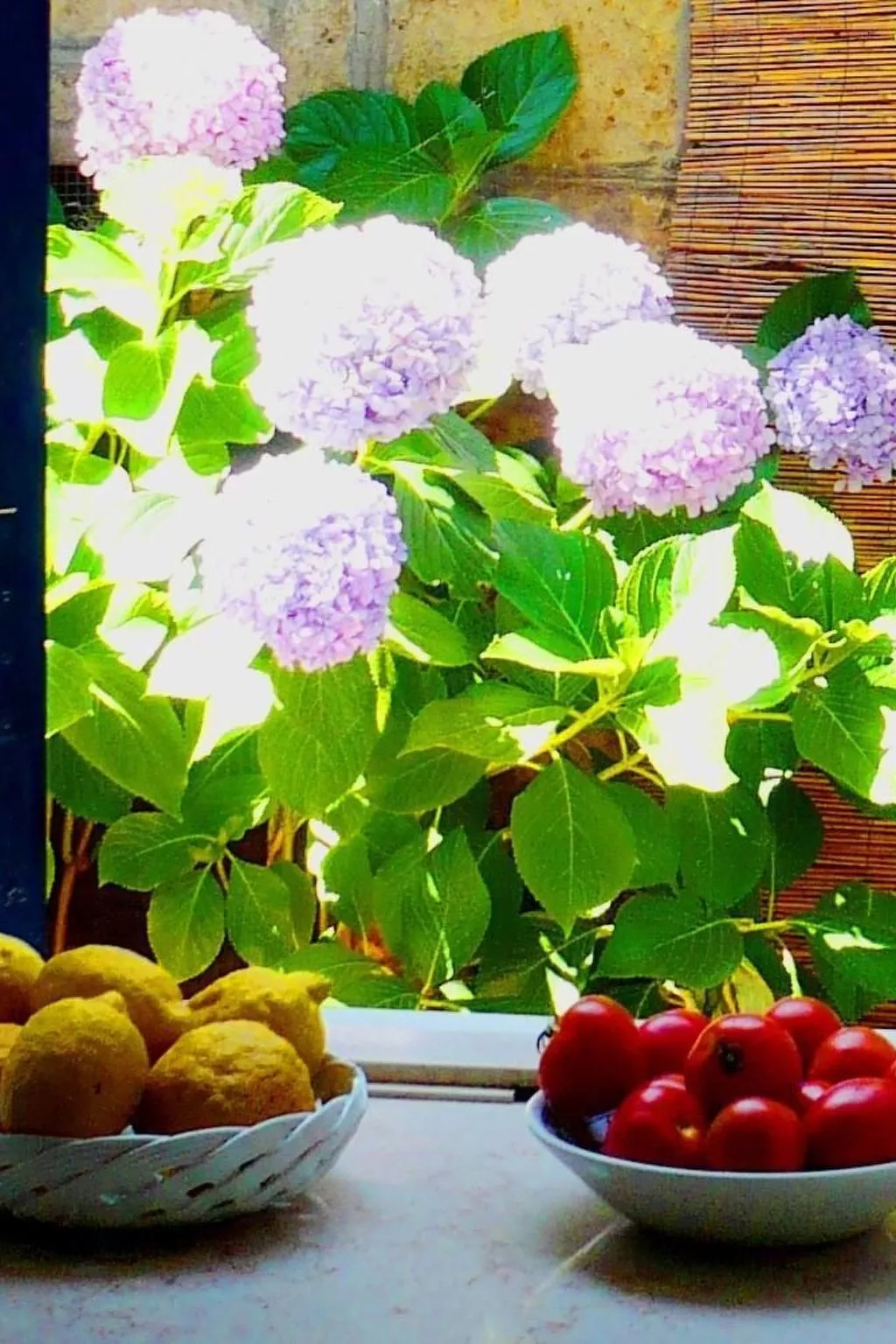 La Terrazza-Image-tags.info