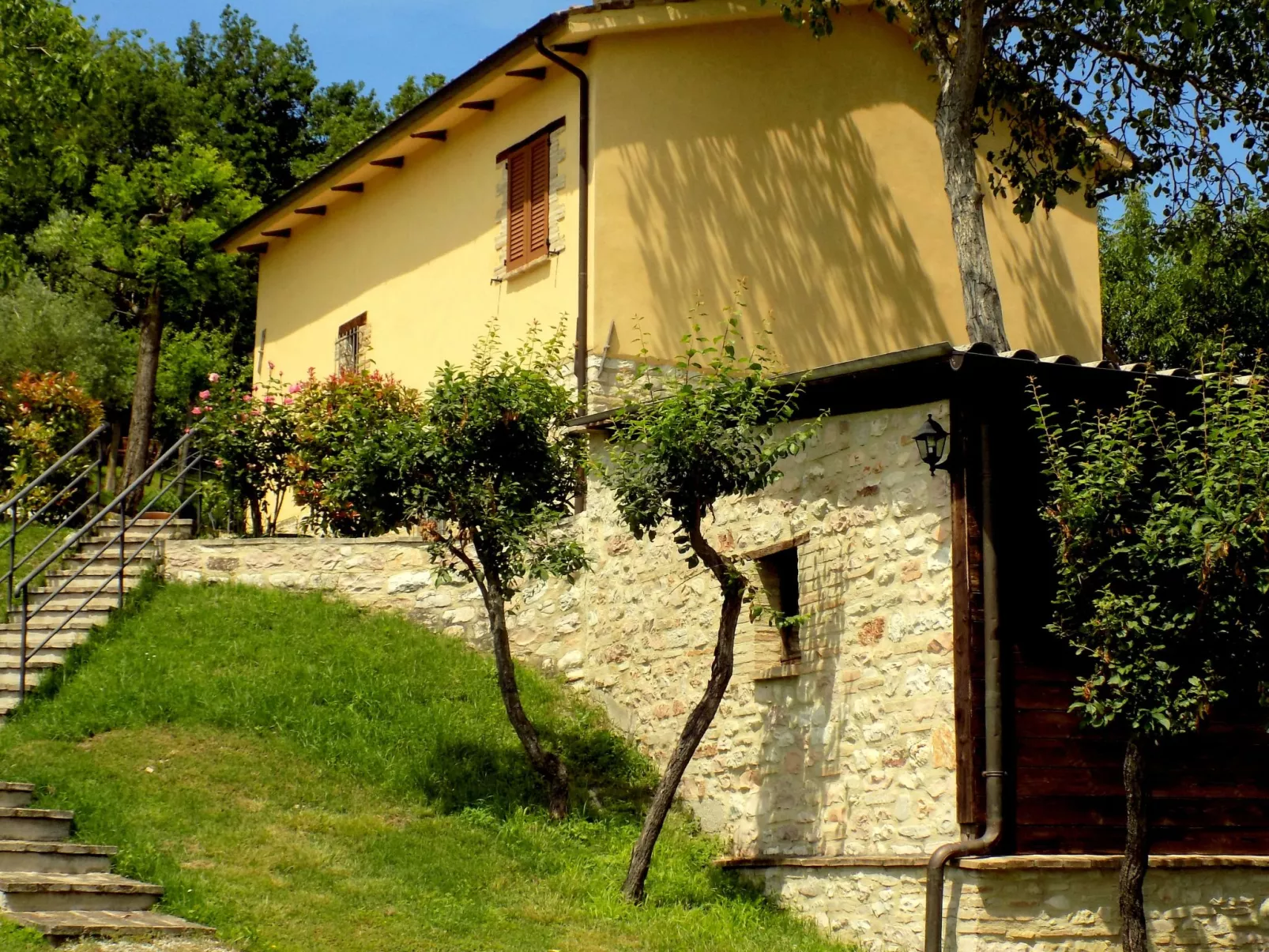 Flacher Flieder-Draußen