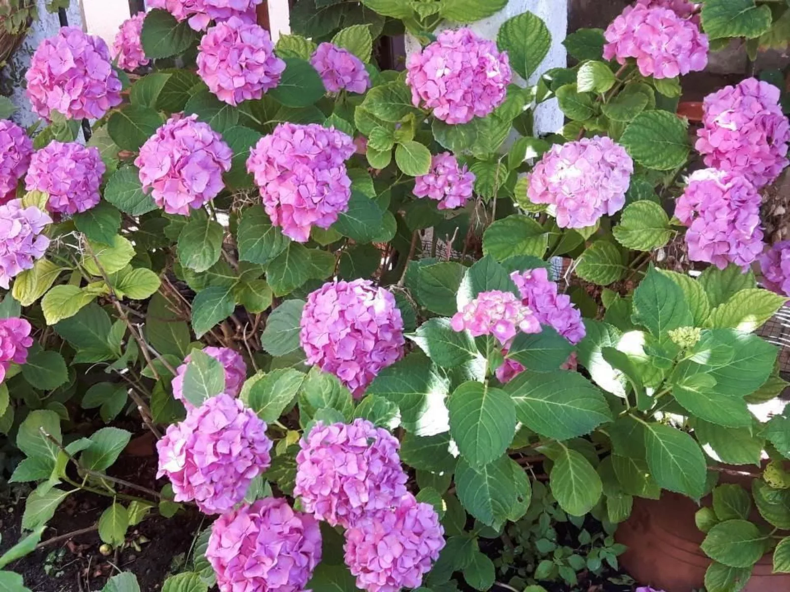 Mit Wasserblick-Outside