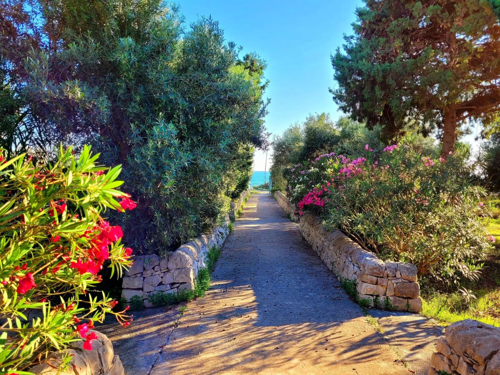 Kleines ruhiges Ferienhaus direkt am Meer-Image-tags.info