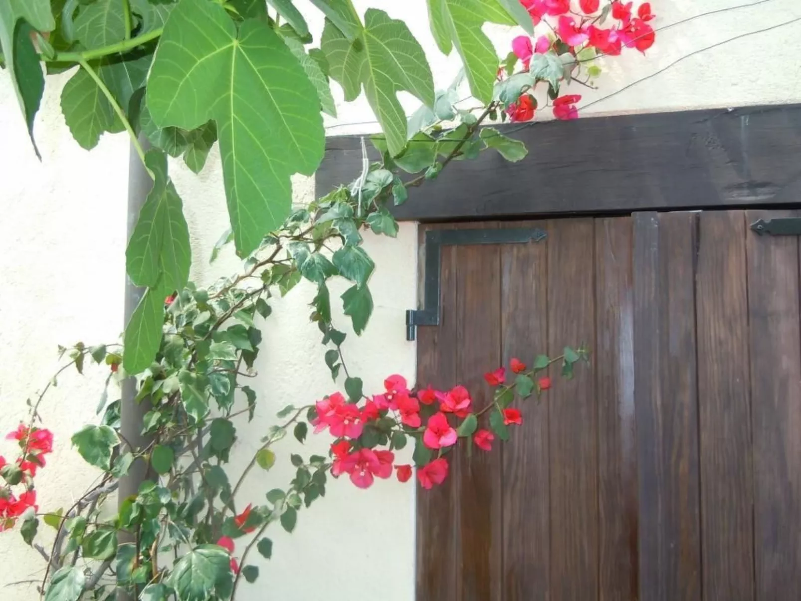 Schönes Ferienhaus mit Garten und Whirlpool-Draußen