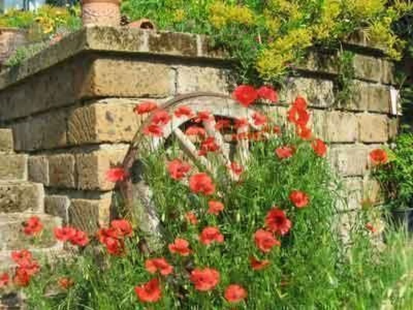 Casa Desiderio-Outside