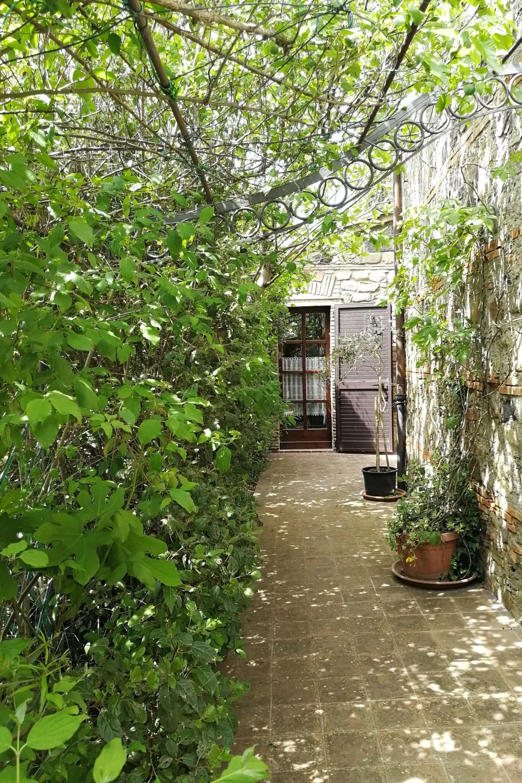 Das Olivenhaus-Image-tags.info