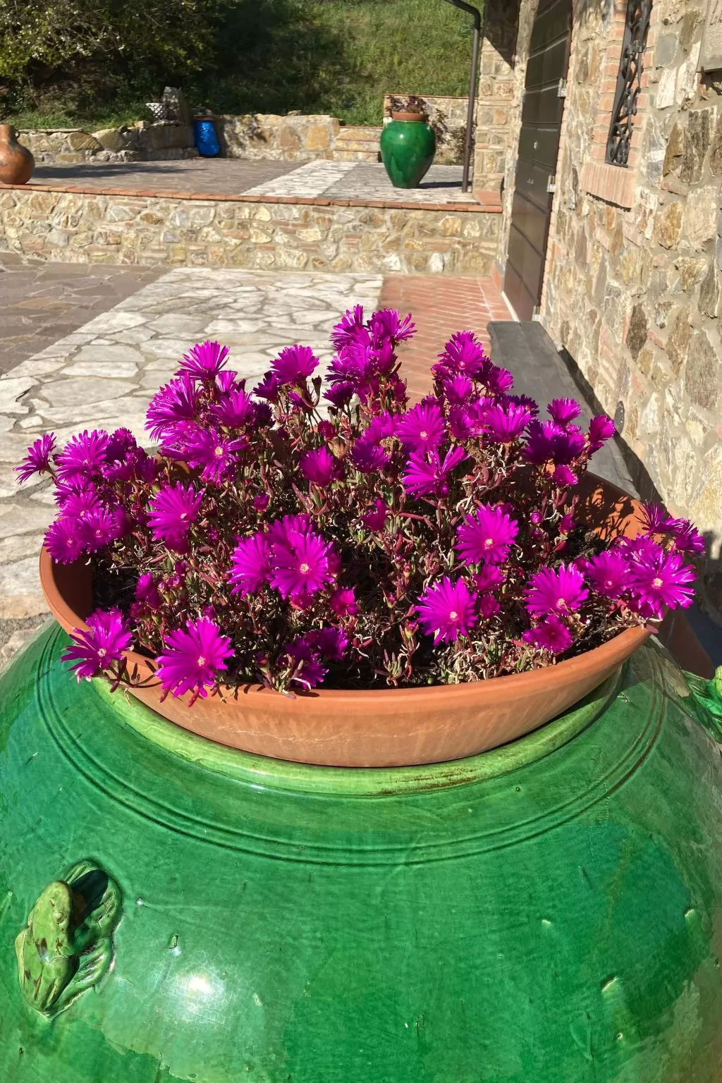 Podere Lo Zolfo-Draußen