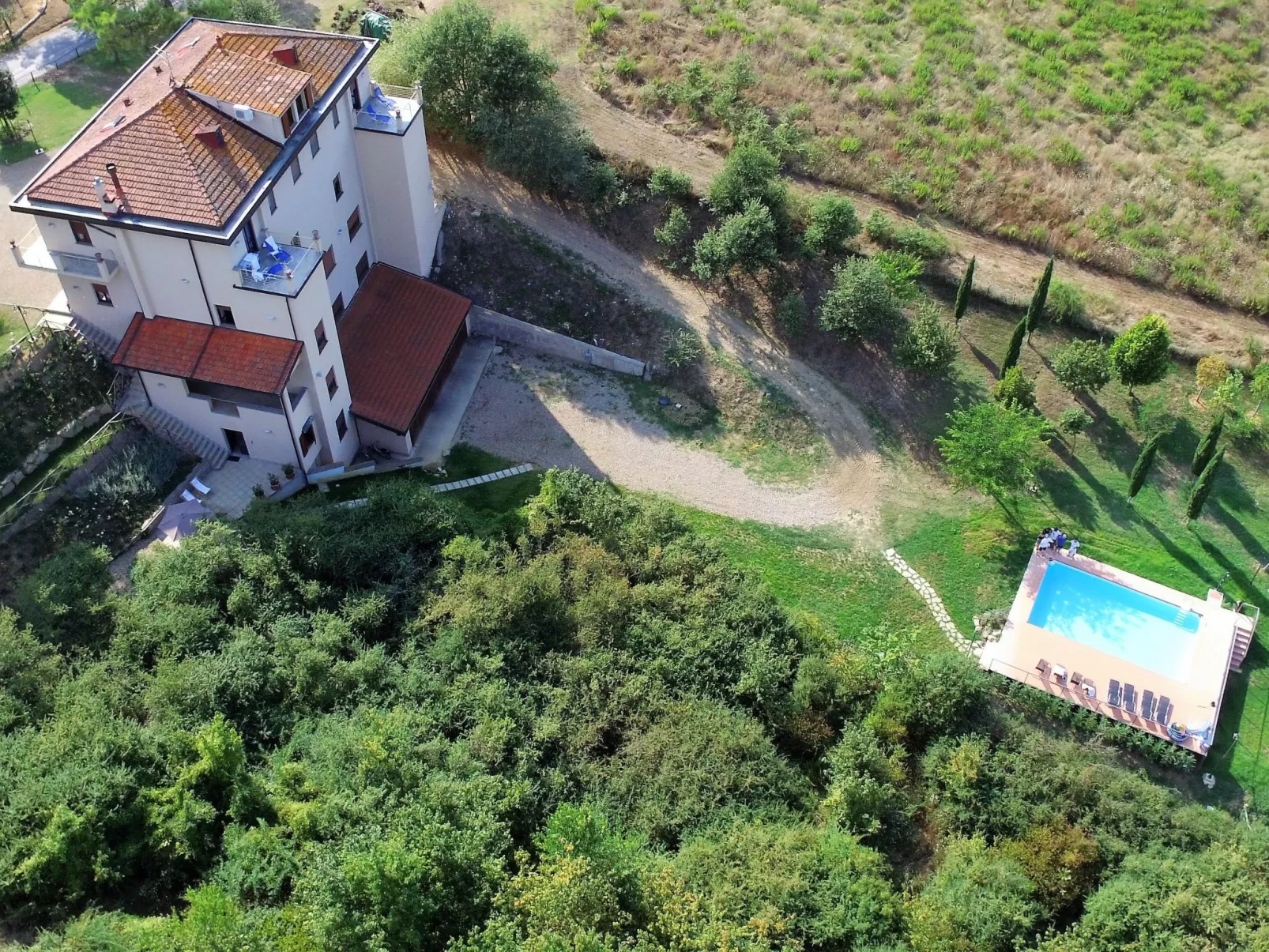 Sonnenblume Wohnung-Draußen