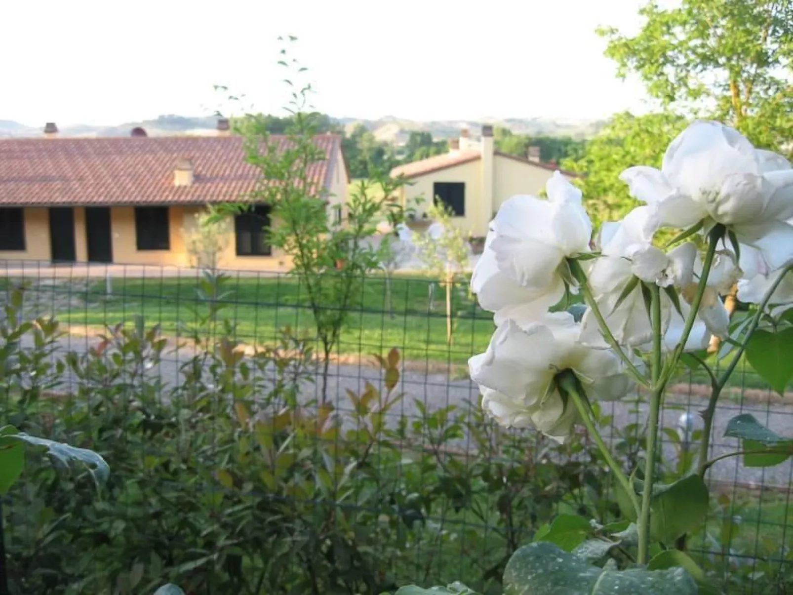 Lo Strettoio Wohnung mit Gemeinschaftspool-Draußen