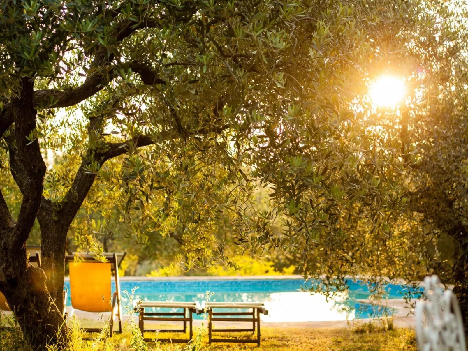 Studio-Apartment mit Sommerpool, Garten und Aussicht-Outside