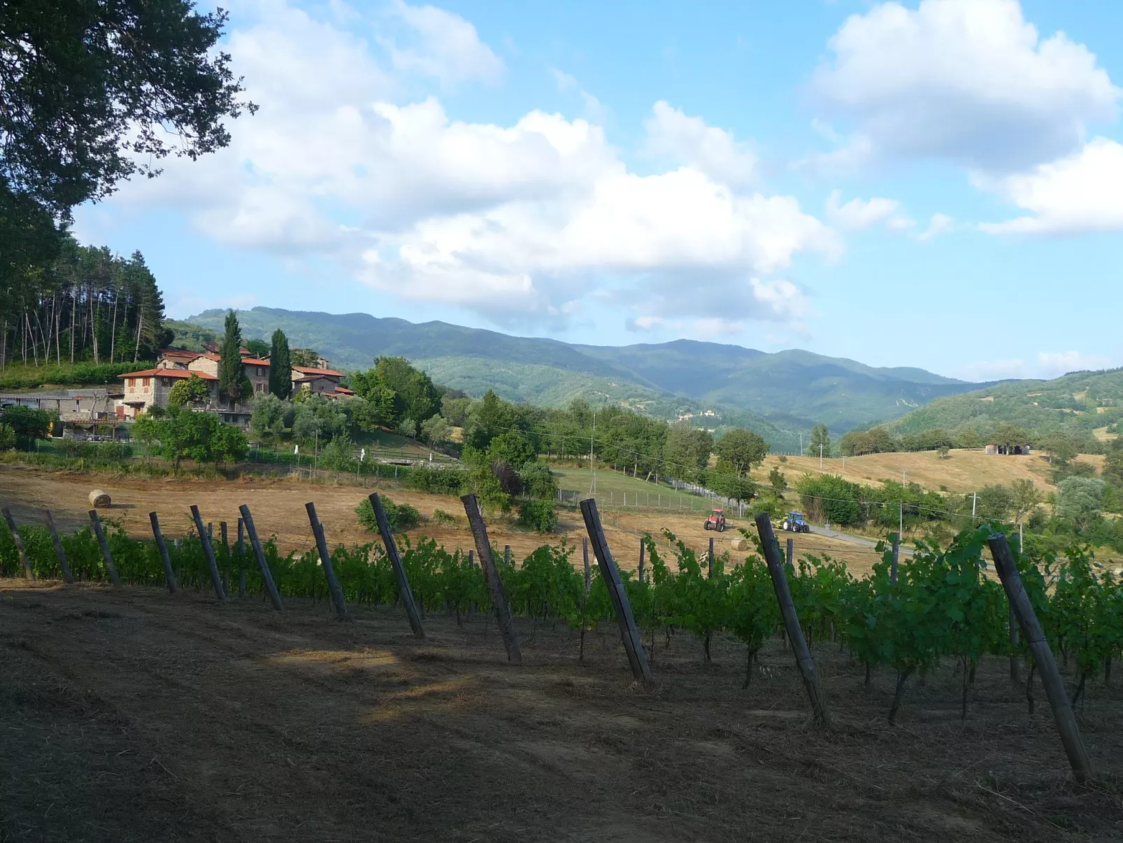 Lindenhaussiedlung mit Gemeinschaftspool-Dehors
